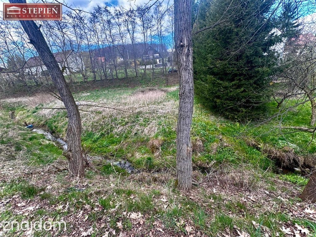Działka ze strumykiem 1600 m² - Wojcieszyce - zdjęcie 6