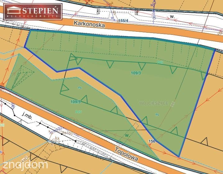 Działka ze strumykiem 1600 m² - Wojcieszyce - zdjęcie 7