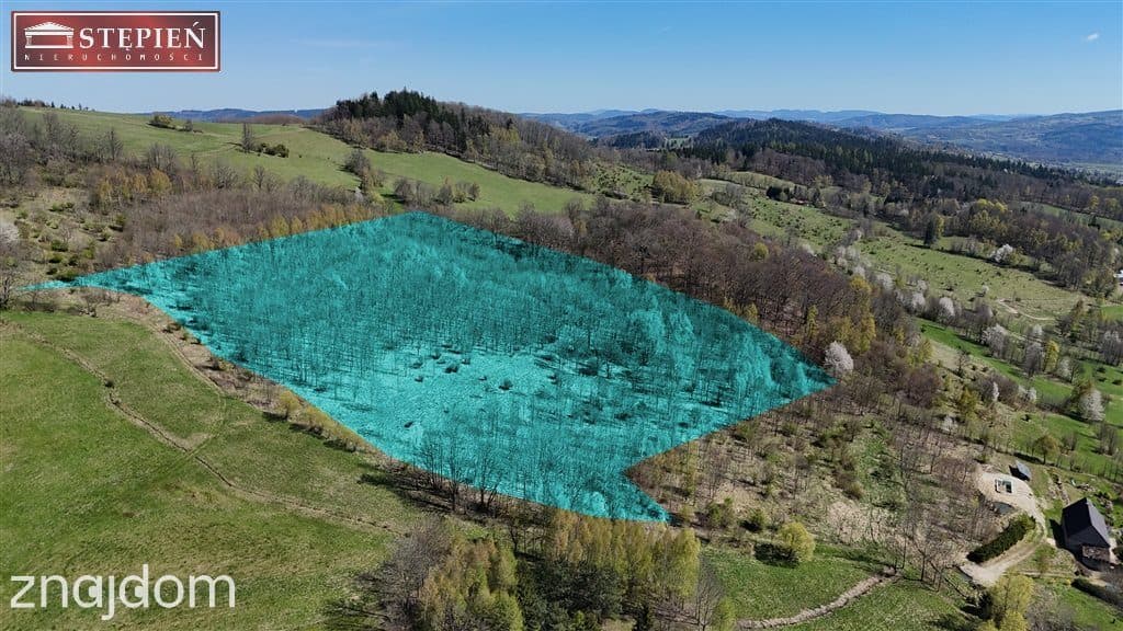 Piękny widok na pasmo Karkonoszy - zdjęcie 5