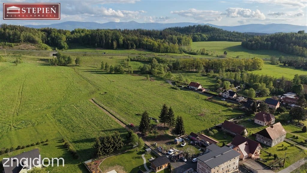 Działka przemysłowo-usługowa w Maciejowej - zdjęcie 2