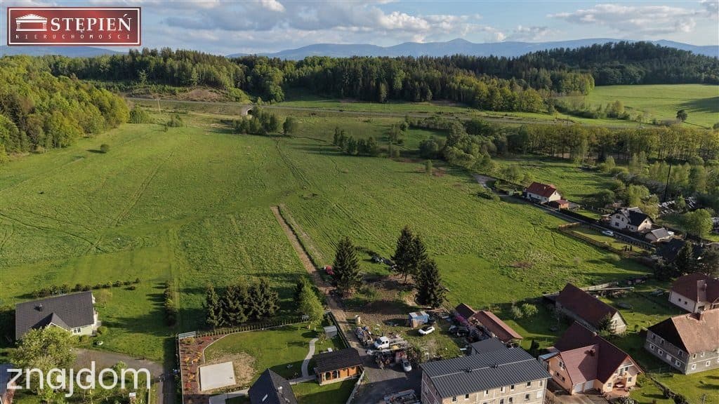 Działka przemysłowo-usługowa w Maciejowej - zdjęcie 3