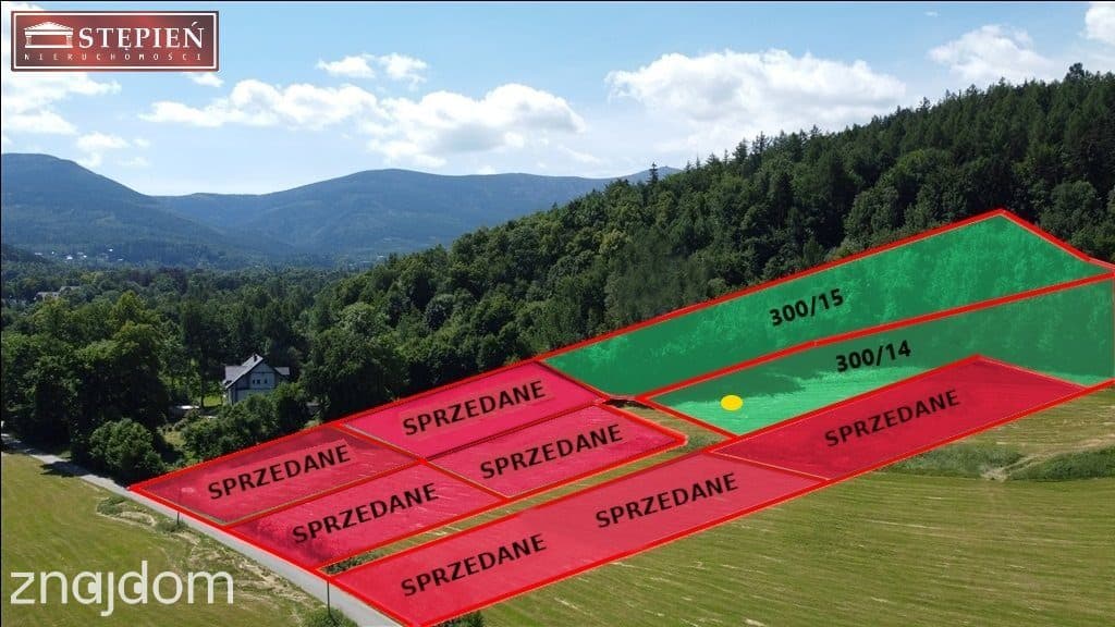 Duża, widokowa działka z lasem w Miłkowie - zdjęcie 11