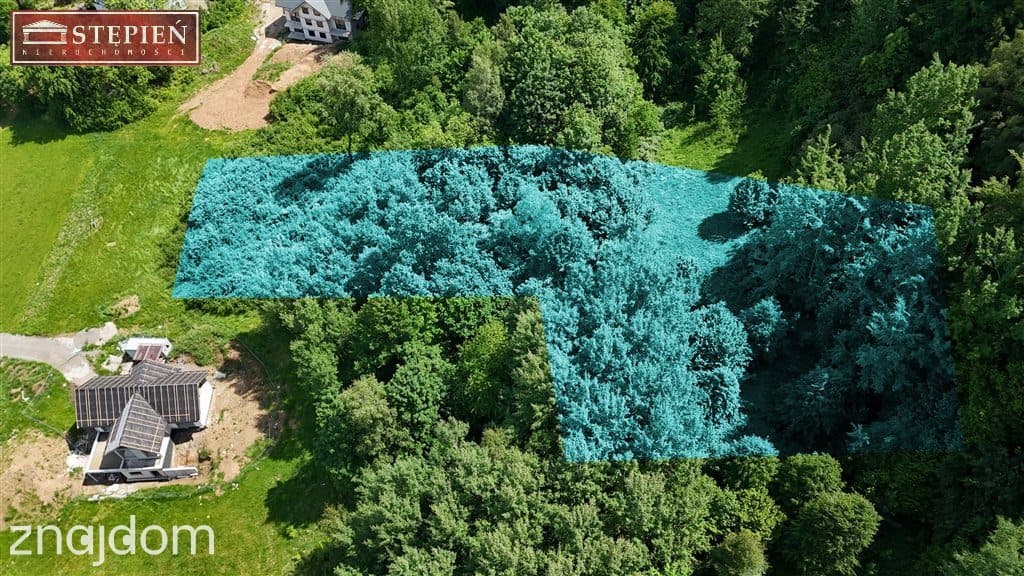 Duża, widokowa działka z lasem w Miłkowie - zdjęcie 3