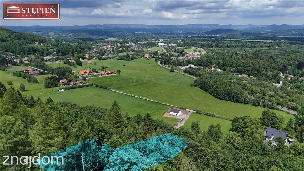 Duża, widokowa działka z lasem w Miłkowie - zdjęcie 5