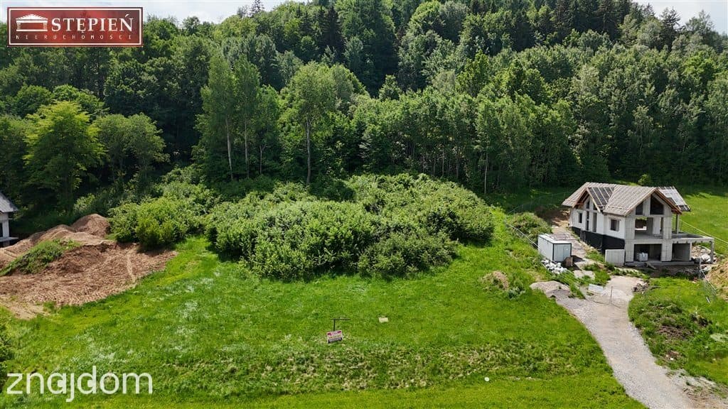 Duża, widokowa działka z lasem w Miłkowie - zdjęcie 9