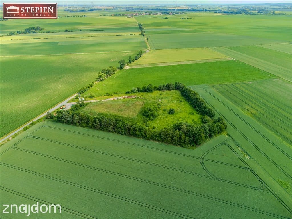 Tereny urządzeń odprowadzania i utylizacji odpadów - zdjęcie 5