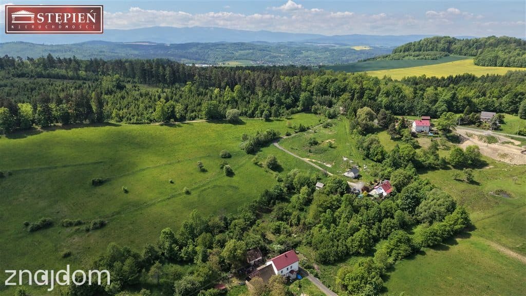 Dom na działce 6024 m² z potencjałem inwestycyjnym - zdjęcie 19