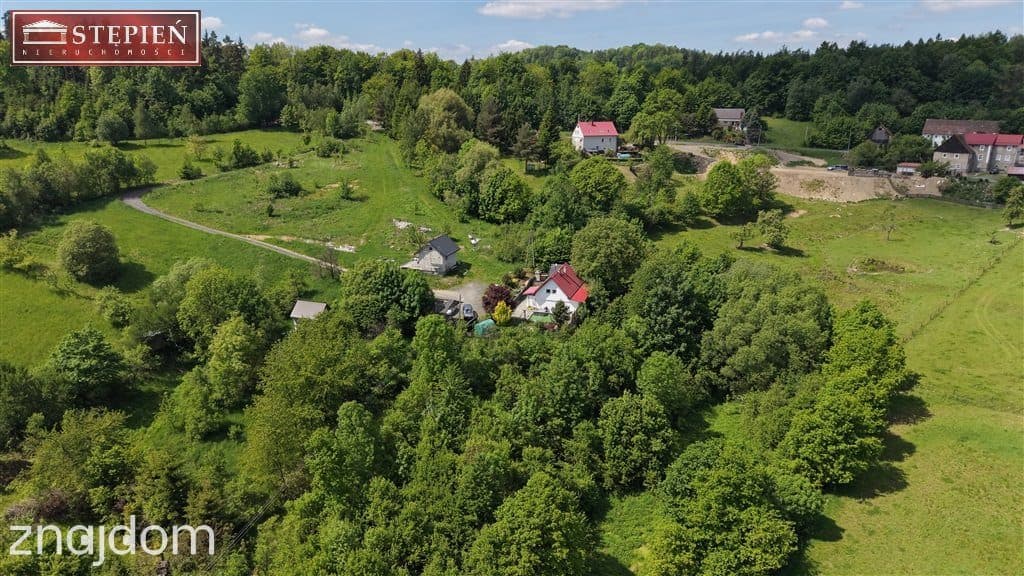 Dom na działce 6024 m² z potencjałem inwestycyjnym - zdjęcie 2