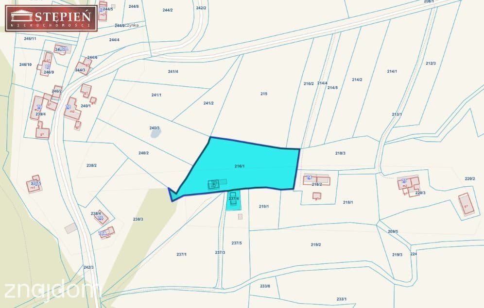 Dom na działce 6024 m² z potencjałem inwestycyjnym - zdjęcie 20