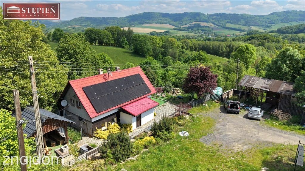 Dom na działce 6024 m² z potencjałem inwestycyjnym - zdjęcie 3