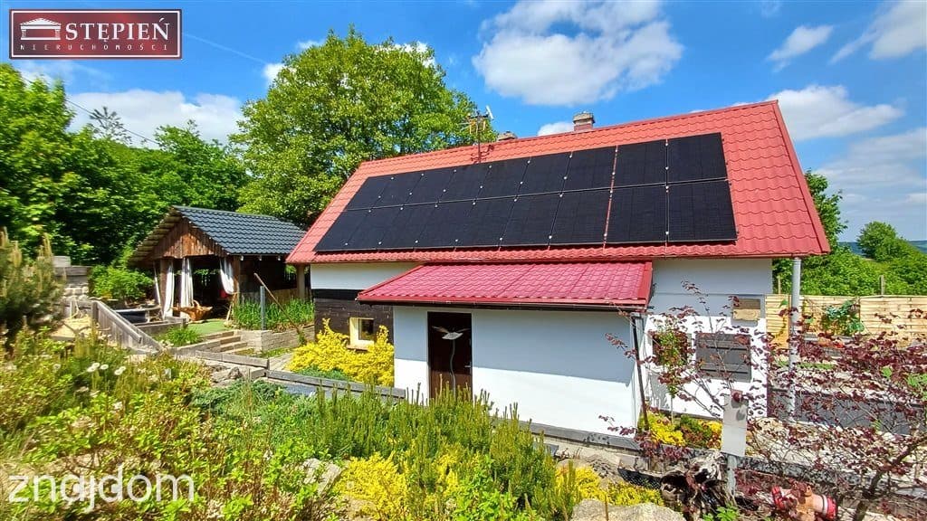 Dom na działce 6024 m² z potencjałem inwestycyjnym - zdjęcie 4