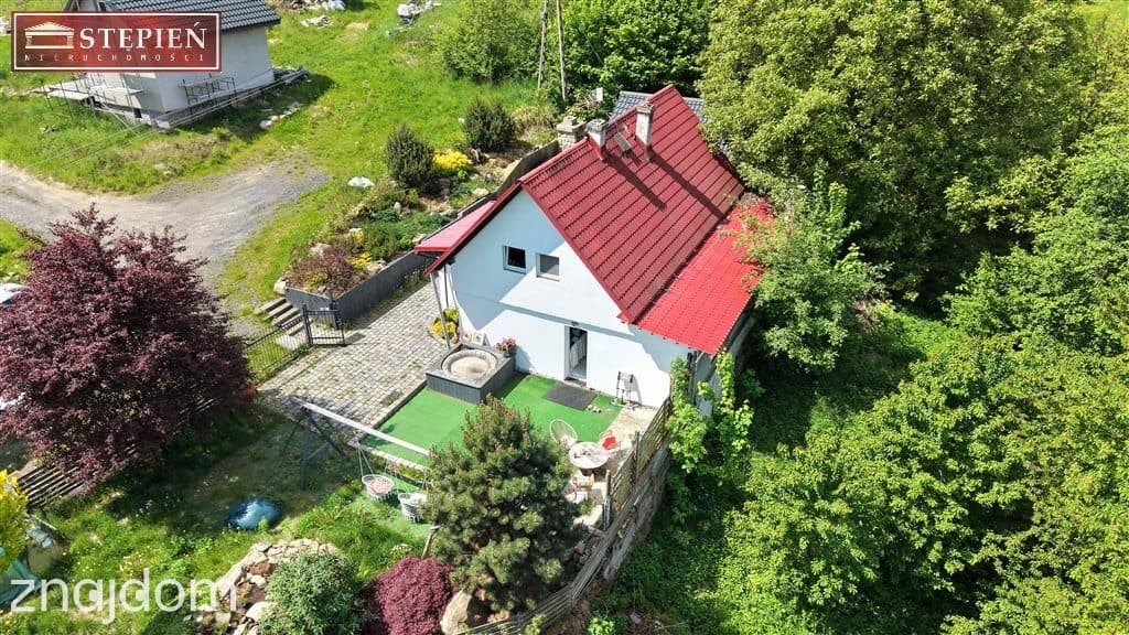 Dom na działce 6024 m² z potencjałem inwestycyjnym - zdjęcie 5