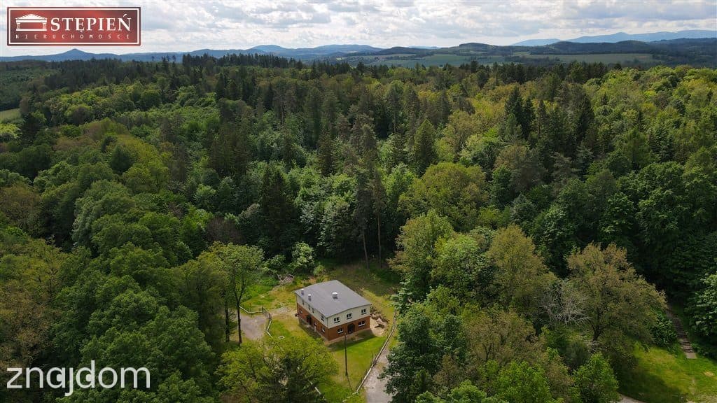 Szwajcaria Lwówecka - zdjęcie 2