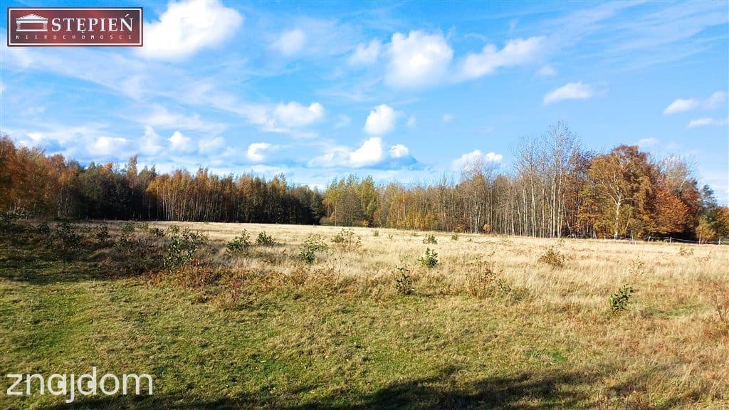 Działka z wydanymi warunkami zabudowy | Izery - zdjęcie 4