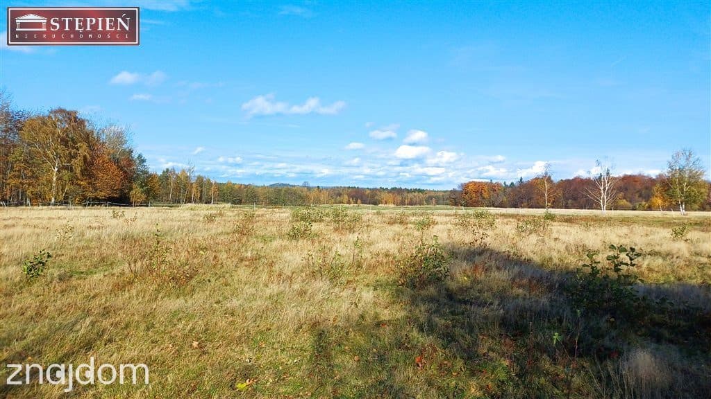 Działka z wydanymi warunkami zabudowy | Izery - zdjęcie 5