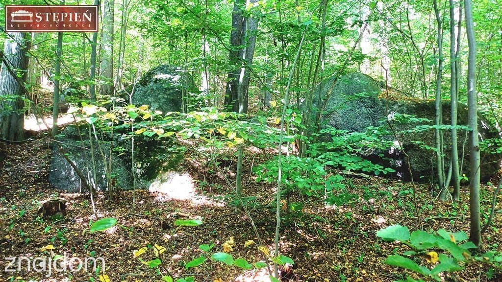Na sprzedaż działka inwestycyjna – Staniszów - zdjęcie 15