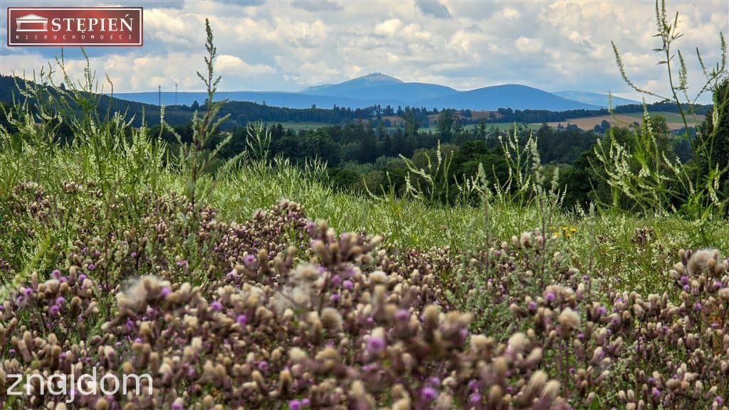 Działka z widokiem na Karkonosze!