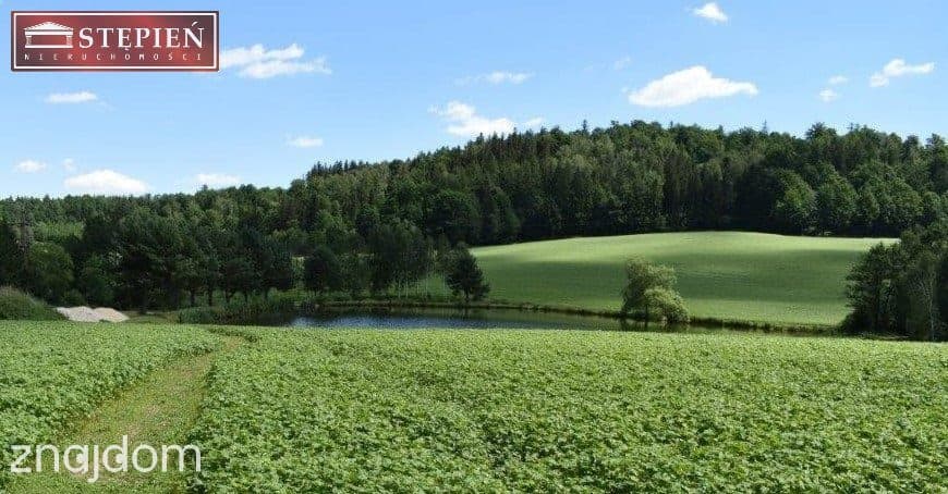 Inwestycja w Rudawach Janowickich!!! - zdjęcie 15