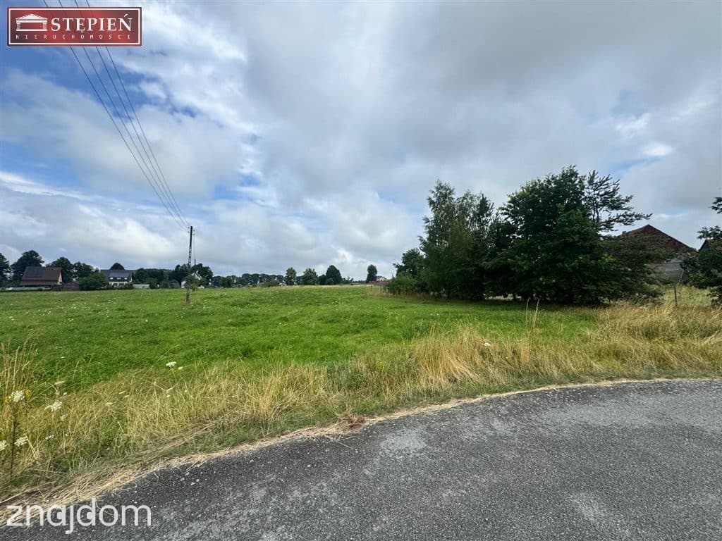 Teren inwestycyjny 12 500 m² przy DK94 i A4 - zdjęcie 2