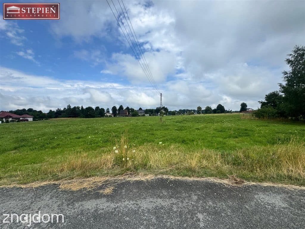 Teren inwestycyjny 12 500 m² przy DK94 i A4 - zdjęcie 3
