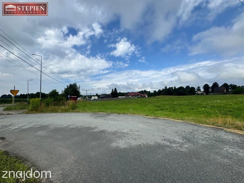 Teren inwestycyjny 12 500 m² przy DK94 i A4 - zdjęcie 4