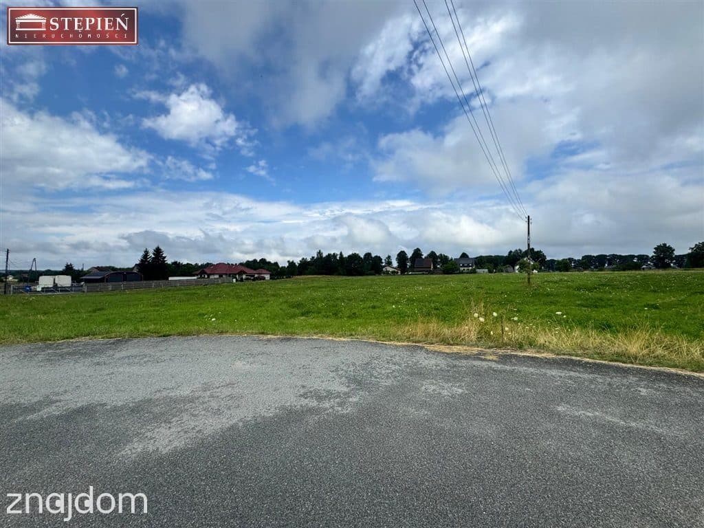 Teren inwestycyjny 12 500 m² przy DK94 i A4 - zdjęcie 5