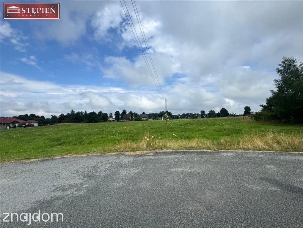 Teren inwestycyjny 12 500 m² przy DK94 i A4 - zdjęcie 6