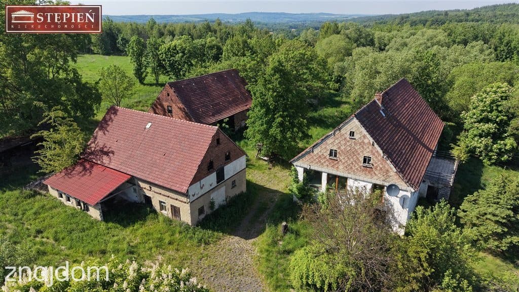 Gospodarstwo w zabudowie zagrodowej - zdjęcie 4