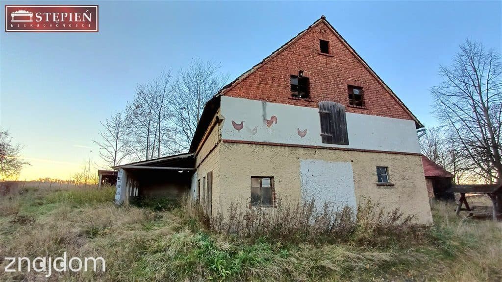 Gospodarstwo w zabudowie zagrodowej - zdjęcie 7