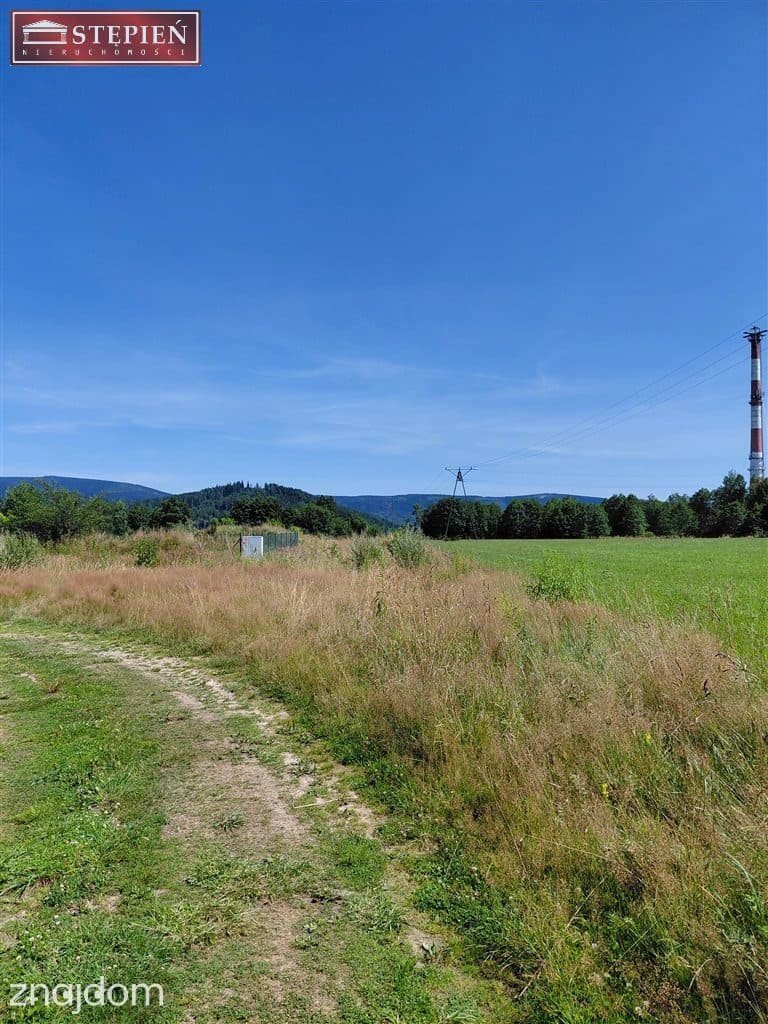 Działka widokowa w Kostrzycy. - zdjęcie 5