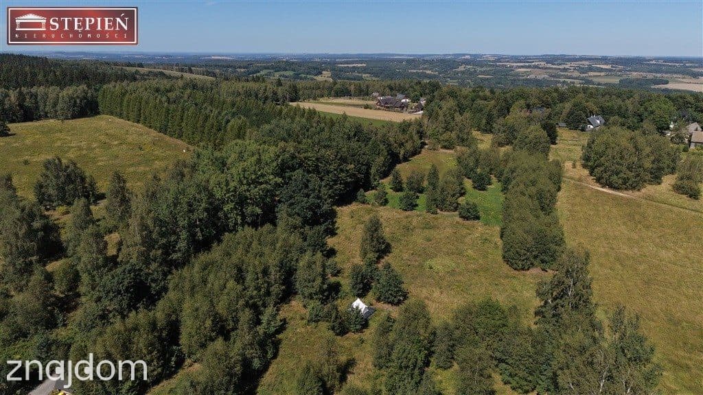 Działka w Antoniowie 3000mkw przy asfalcie - zdjęcie 6