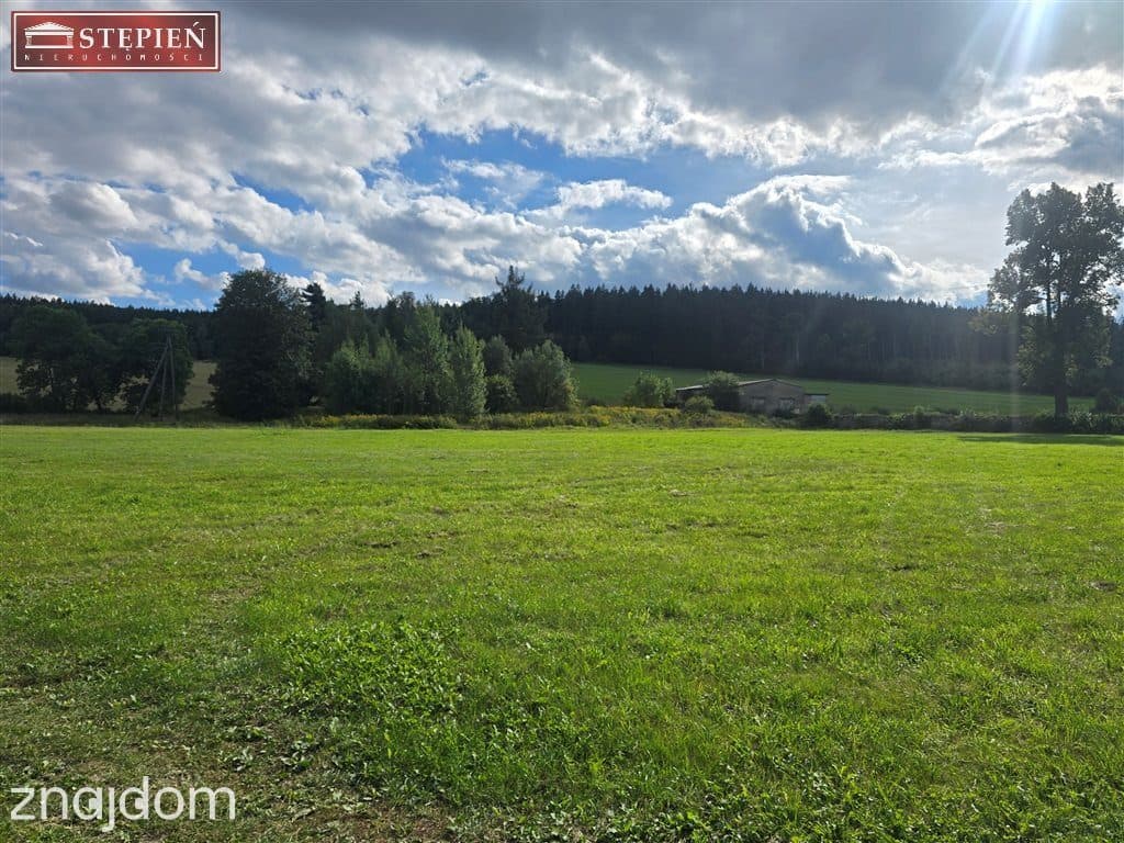 Atrakcyjna działka w Barcinku ! - zdjęcie 10