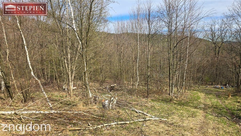 Działka z potencjałem. - zdjęcie 8