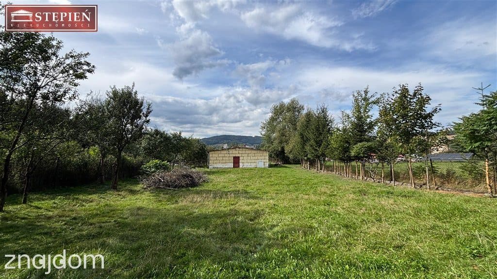 Działka 1626 m² z budynkiem mieszkalnym do remontu - zdjęcie 3