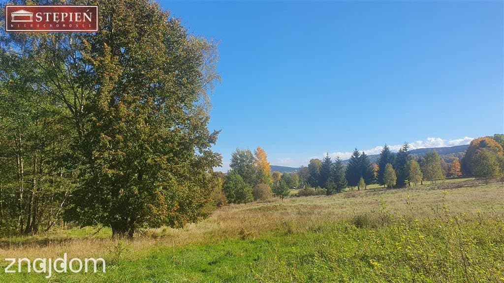 Antoniów - przepiękny teren - zdjęcie 4
