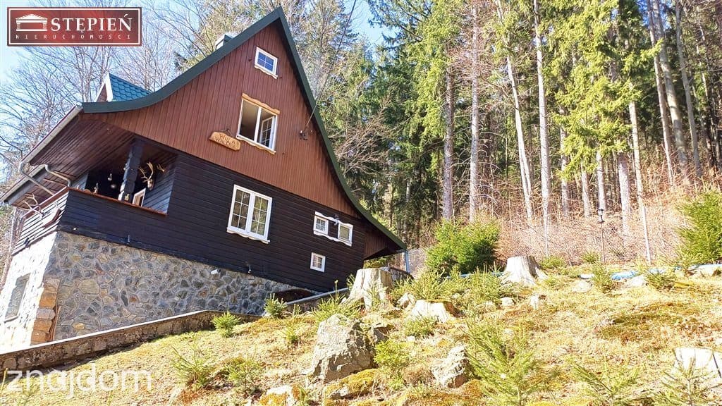 Dom z imponującym widokiem na Karkonosze - zdjęcie 10