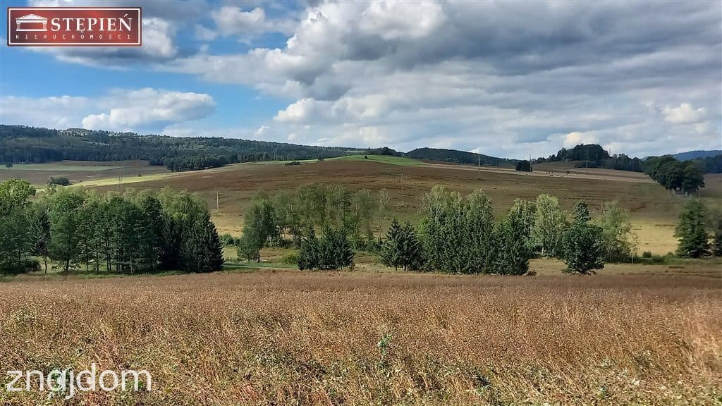 Działka widokowa w Rudawach Janowickich - zdjęcie 8