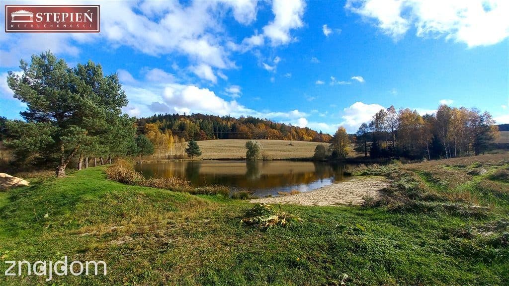 Inwestycja w Rudawach Janowickich!!! - zdjęcie 4