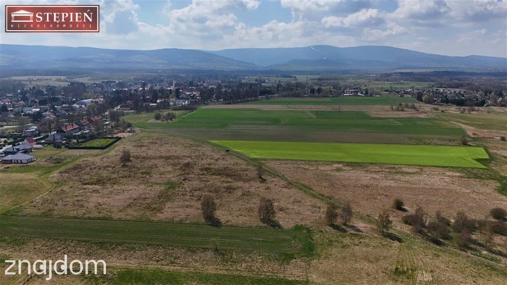 Działka rolno - usługowa w otoczeniu gor - Mirsk - zdjęcie 2
