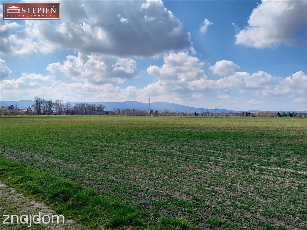 Działka rolno - usługowa w otoczeniu gor - Mirsk - zdjęcie 7