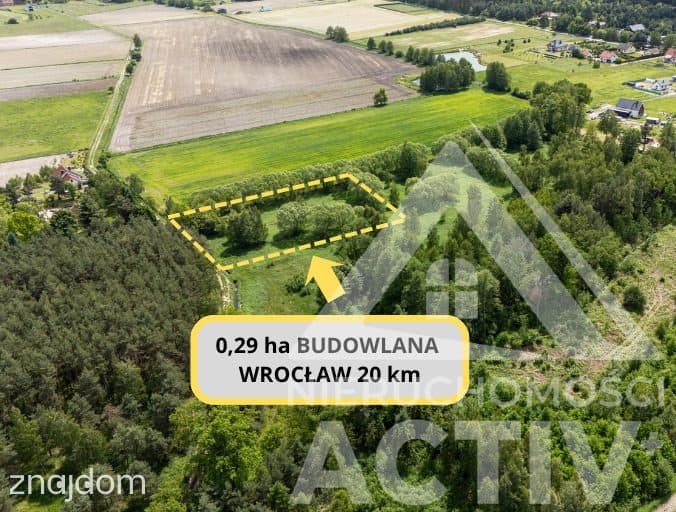 2988 m² z zadrzewieniem, blisko Jelcz i Oława
