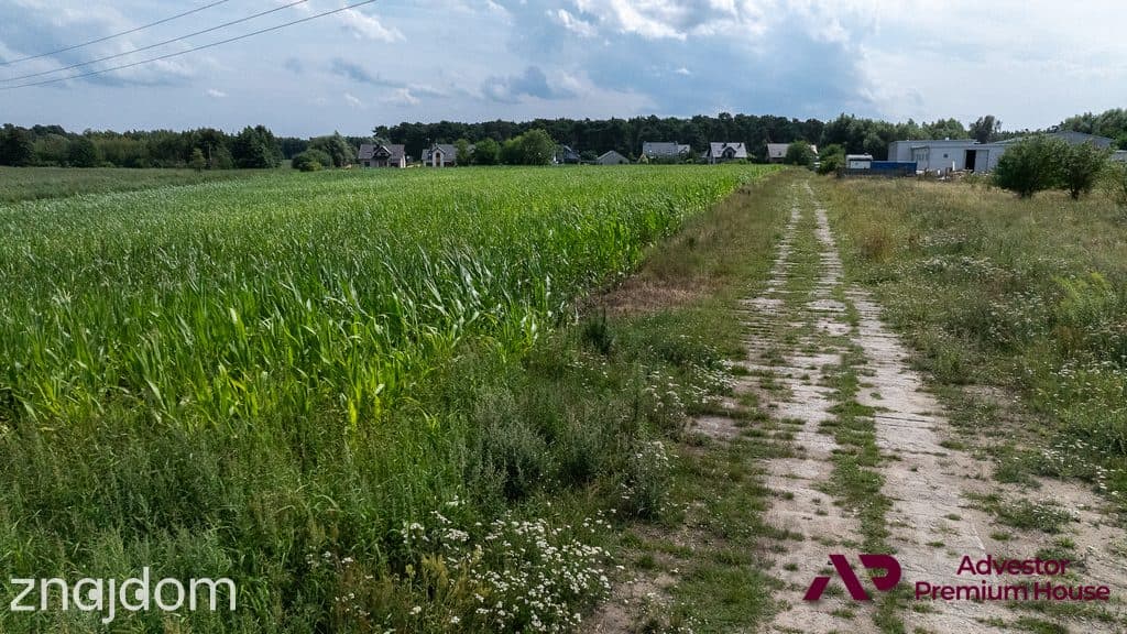 Działka k. Ciąg Ekologiczny Samicy Pamiątkowskiej - zdjęcie 7