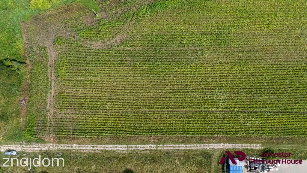 Działka k. Ciąg Ekologiczny Samicy Pamiątkowskiej - zdjęcie 15