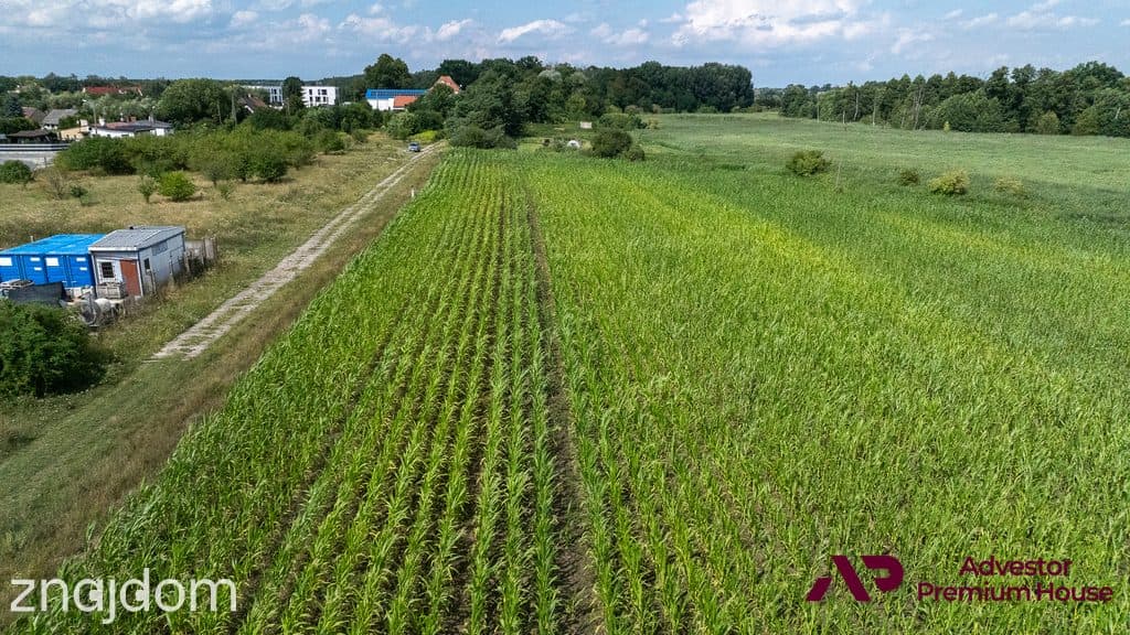 Działka k. Ciąg Ekologiczny Samicy Pamiątkowskiej - zdjęcie 19