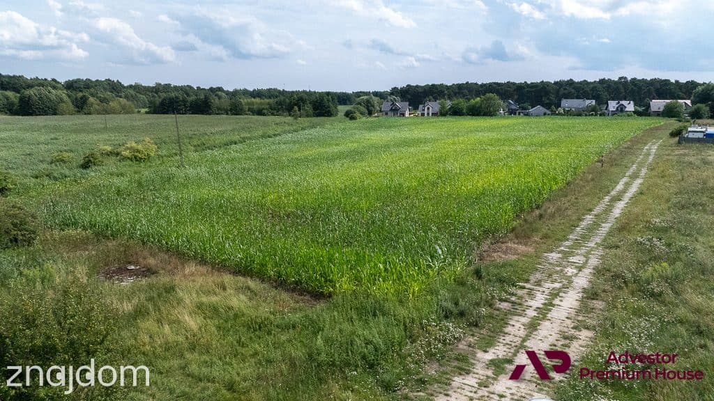 Duża działka z widokiem na drzewa - zdjęcie 6