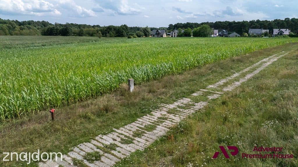 Duża działka z widokiem na drzewa