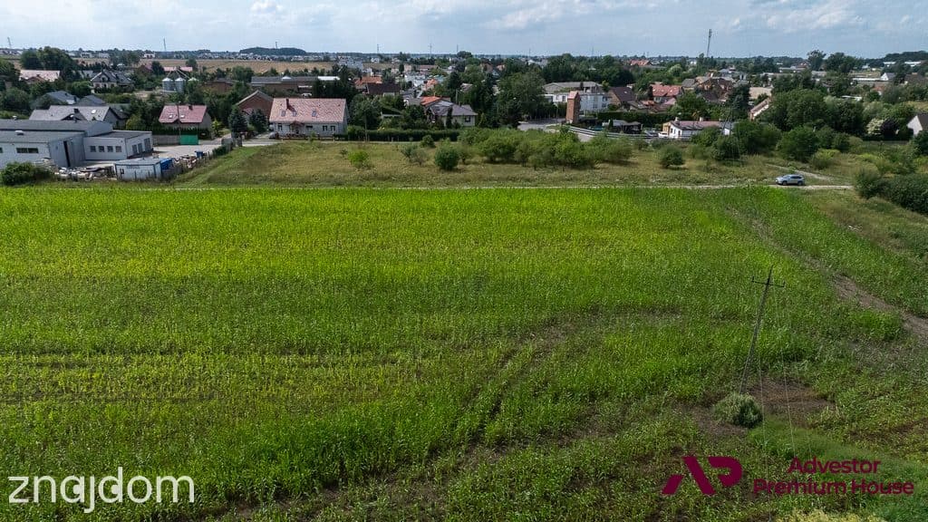 Duża działka z widokiem na drzewa - zdjęcie 11
