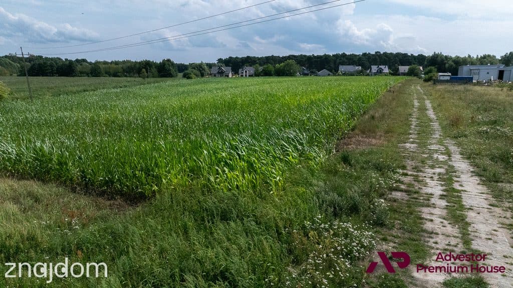 Duża działka z widokiem na drzewa - zdjęcie 16