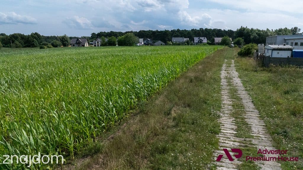 Duża działka z widokiem na drzewa - zdjęcie 17