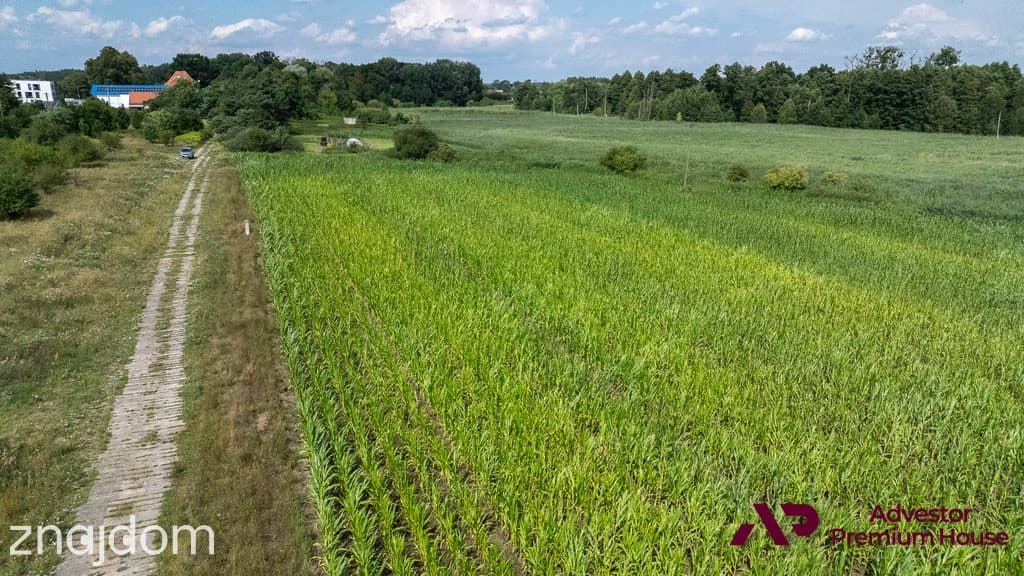 Duża działka z widokiem na drzewa - zdjęcie 18